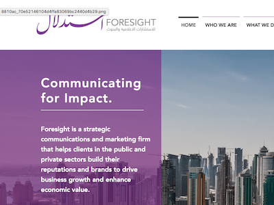 Foresight Communications