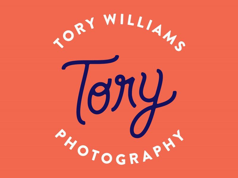 Tory Williams Photography Logo + Animation animation branding design icon illustration logo typography vector