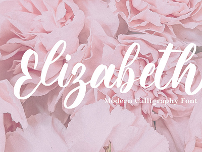 Eli - Calligraphy Font