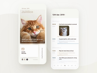 A focus on pet health APP app design health loving pet pet app ui yellow