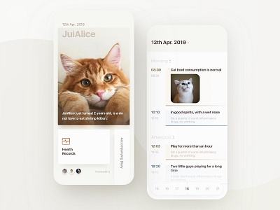 A focus on pet health APP