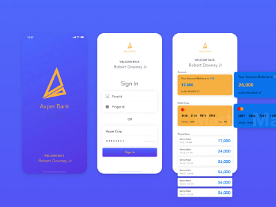 Axper Bank app