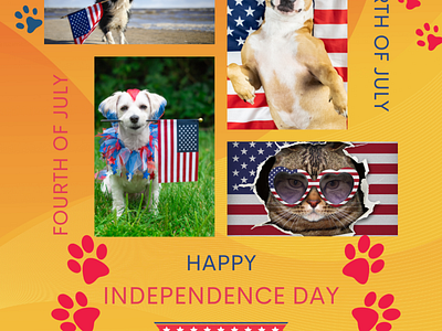 Pet Niche Independence day content content creator design facebook content image instagram instagram content