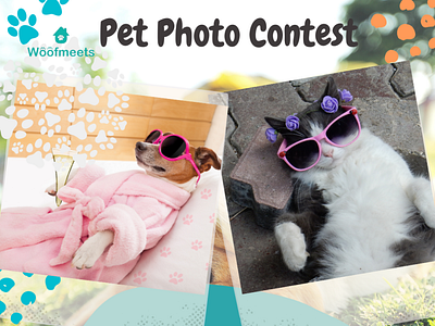 Dog Cat Pet Photo contest content content creator design facebook content image instagram instagram content