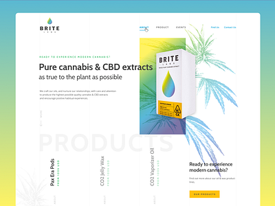 Concept website Brite labs