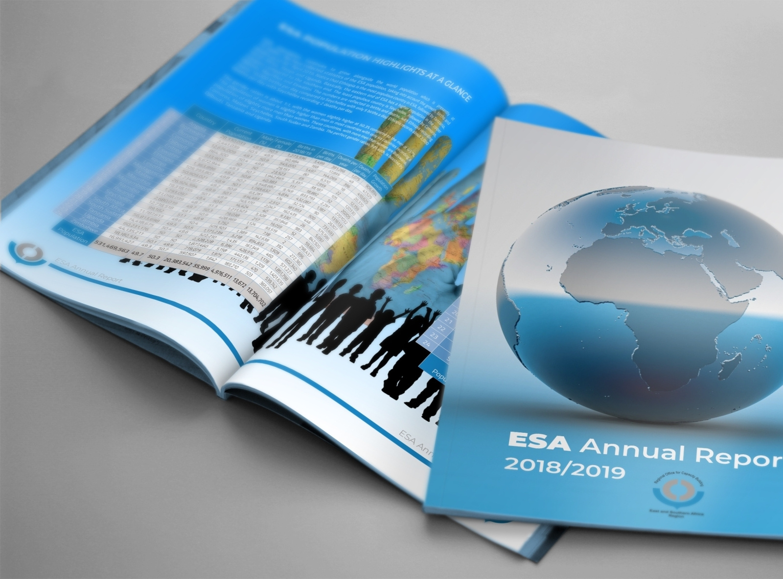 International Annual Report Presentation by Bushra Naz on Dribbble