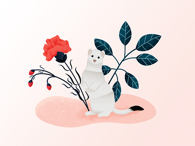 Ermine animal ermine flowers illustration illustrator leafs photoshop plants vector