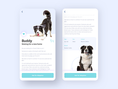 App for Dog Shelters adopt animal animals app design dog info mobile shelter ui ui design ux