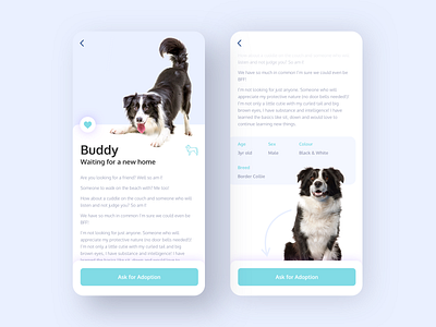 App for Dog Shelters