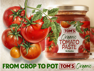 Illustration, labelling, and advertising for Tom’s Organic advertisement botanical art botanical drawing graphic design graphics illustration label design labels logo design organic tomatoes