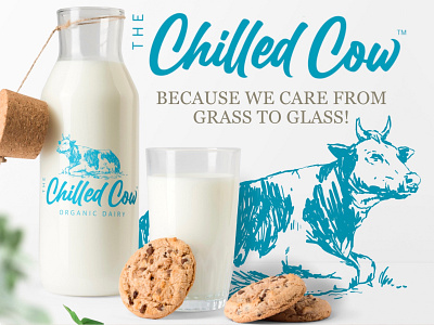 The Chilled Cow - Logo, illustration & design advertisement dairy farming graphic design illustration logo design organic