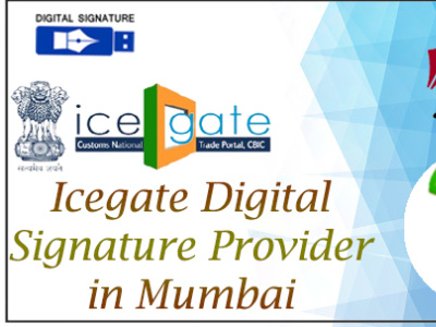 icegate Digital Signature provider in Mumbai dda dgft dsc epf icegate mumbai