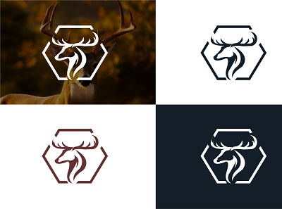 Deer logo design branding deisgn graphic design illustration logo logodesign vector