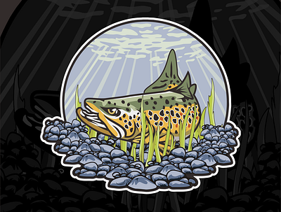 Trout Fishing Illustration trout fishing illustration