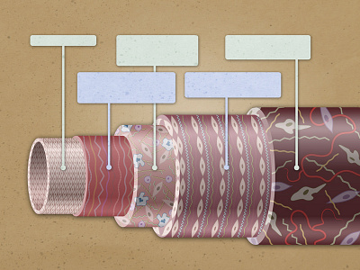 Vessel Cross-section