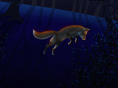 fox moon leaping (detail)