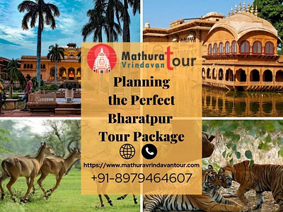 Amazing Bharatpur Tour Packages