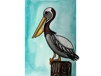 Pelican illustration ink watercolor