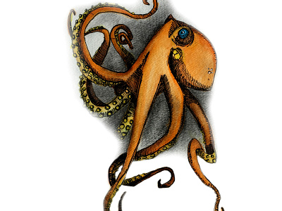 Octopus charcoal illustration ink watercolor