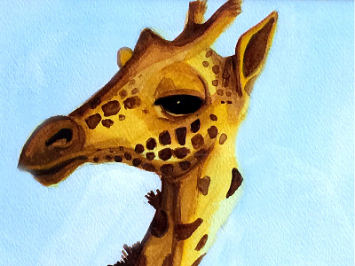 Giraffe Illustration illustration watercolor