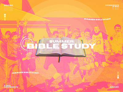 Summer Bible Study