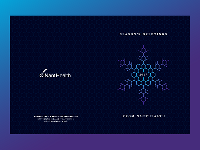 Holiday Card cancer card christmas design dna flake healthcare hexagon holiday molecules nanthealth print protein snow snowflake winter