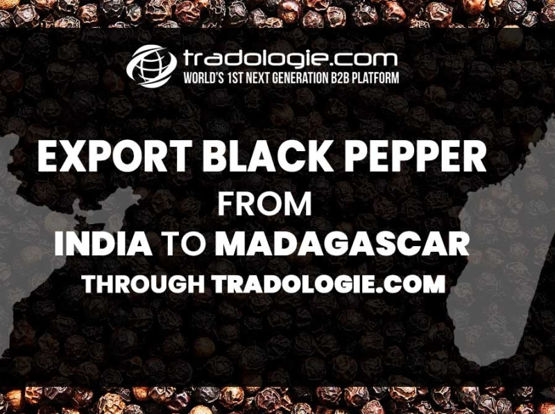 Buy Black Pepper in India by Tradologie on Dribbble