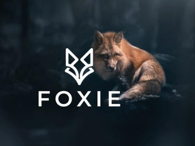 Fox branding design graphic design illustration logo minimal typography vector