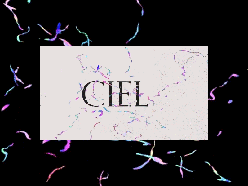 Ciel Noir animation gradient graphic holographic illustration motion typogaphy