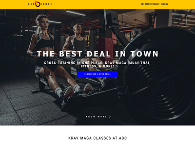 ACE-FENSE FITNESS WEB DESIGN