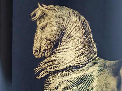 Cheval d'Or detail cavalli cheval dor gold foil golden horse horse packaging warlord wine wine label design