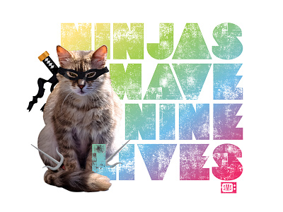 Ninjas Have Nine Lives animal cat design illustration kitten kitty lives nine ninja saturday morning society type typography