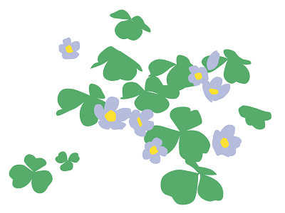 Wood Sorrel