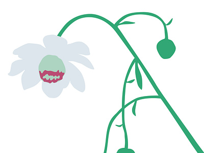astragalus flowers design graphic design icon illustration logo textile wallpaper