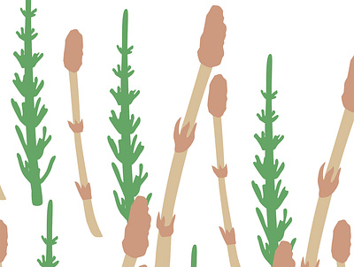 Horsetail_green design graphic design icon illustration textile wallpaper