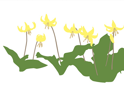 yellow dogtooth violet design flower graphic design icon illustration textile wallpaper