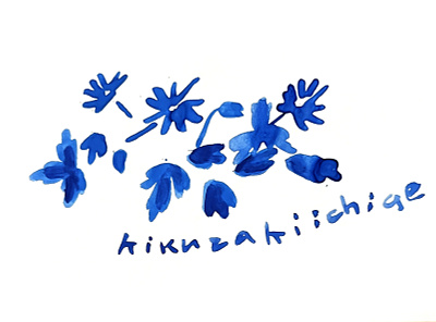 kikuzakiichige_japanese flower design graphic design illustration textile wallpaper