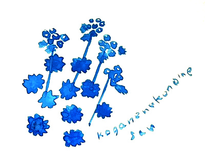 koganenekonomesou_japanese flower design graphic design illustration textile wallpaper ラッピングペーパー