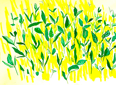 Japanese green tea design graphic design illustration textile wallpaper