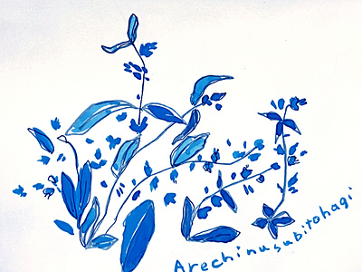 Arechinusubitohagi_flower design graphic design illustration textile wallpaper