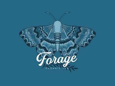 Forage Organic Tea branding design graphic design illustration logo procreate typography