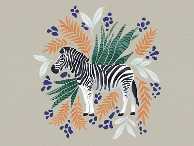 Zebra Illustration design illustration logo procreate zebra zebradrawing zebraillustration