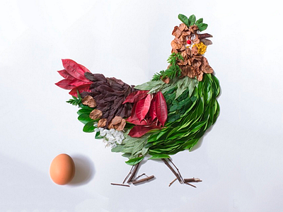 Spring Chicken