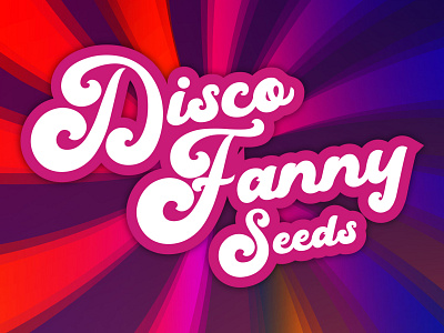 DiscoFanny : Logo branding graphic design logo typography