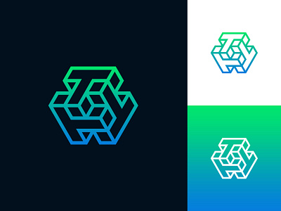 T + Cube Logo