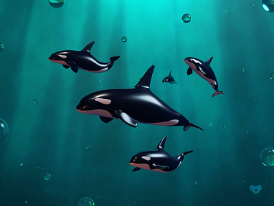 Orca Whales 3dwhales animal animals blender blender3d bubbles designstyle dolphin illustration ocean orca texture underwater whale