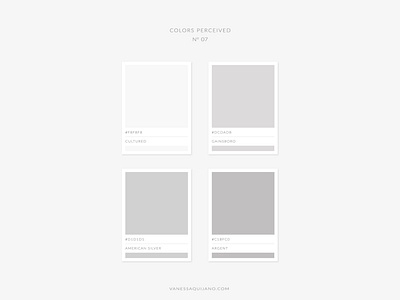 Colors Perceived No. 07 brand identity branding color gray color palettes color schemes design inspiration