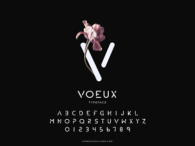 VOEUX TYPEFACE design font illustration logo type typeface