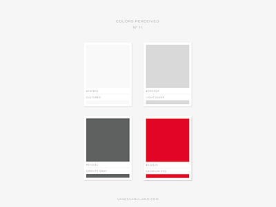 COLORS PERCEIVED NO 11 brand brand identity branding color color palette design gray identity inspiration red