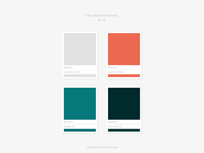 COLORS PERCEIVED NO 12 brand brand identity branding color colorpalette design identity inspiration